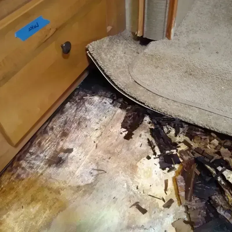 Best Wood Floor Water Damage Service in Saugus, MA